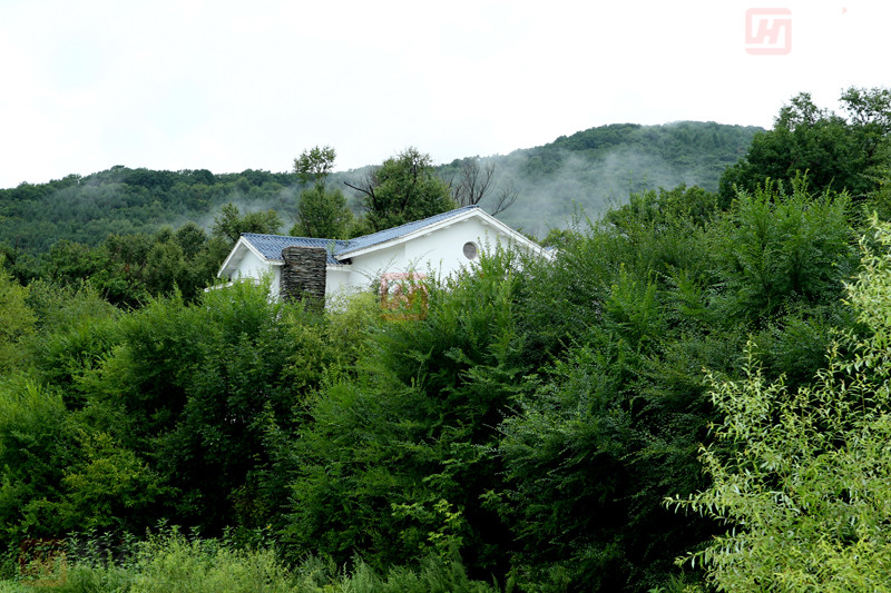 1494558655305052.jpg 簡(jiǎn)介.jpg